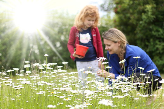 Blumenwiese vor Mutter mit Kind
