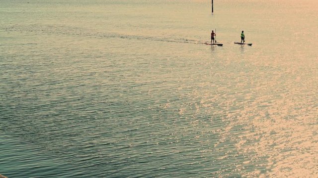 Sportsman rower on a kayak. Sunny day. People do sports. People ride on boats. People rowing oars standing on the boat. Sportsman rower on boat. Extreme sport. 