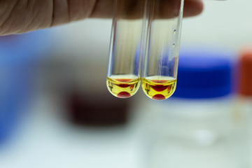 The study Separating by filtration the component substances from liquid mixture in Lab. 