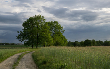 stormy rural landscape in spring