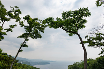 Fototapeta na wymiar 伊豆大川の海岸風景