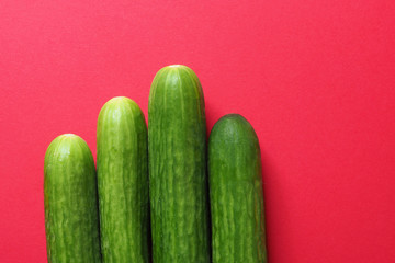 Vier Schlangengurken auf rotem Hintergrund