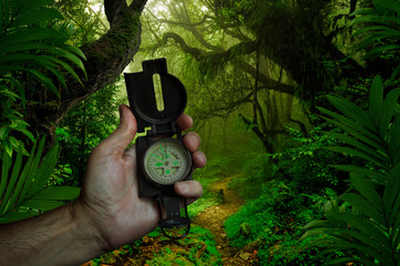 Hand with compass in the jungle