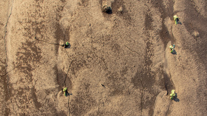 Agrarian fields after heavy rain, deposits of chernozem and various debris on the field.