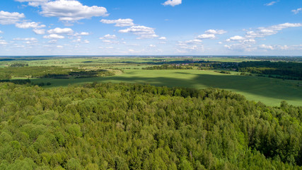 Fototapeta na wymiar Beautiful green summer field and forest with shadow of cloud