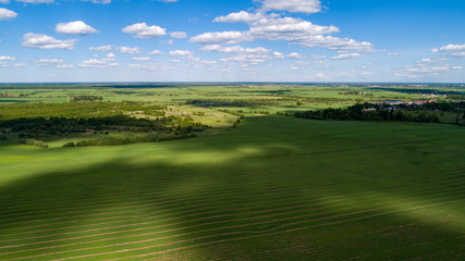 Beautiful green summer field with shadow of cloud