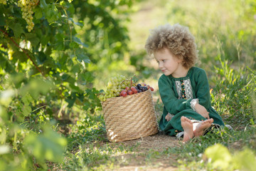 Small child and fruits. A little girl collects grapes.