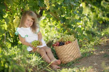 A child with fruit. The girl collects grapes. 