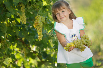 A child with fruit. The girl collects grapes. 