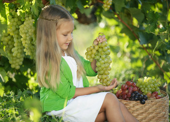 Child girl with grapes. Gathers fruit. 