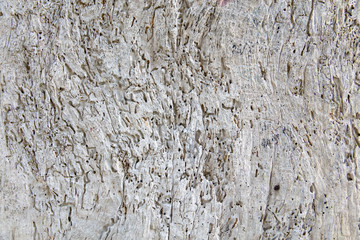 Old gray cracked wood texture background