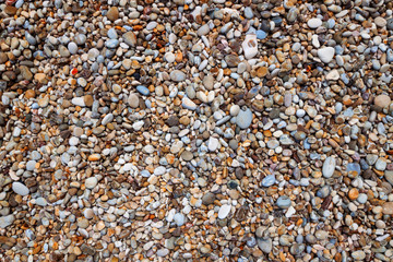dry sea pebbles on the beach background
