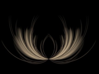 Doomsday Spark - Abstract Illustration / Fractal Flame. Features many mirror symmetrically arranged curved lines. Colors: sepia on a black background.