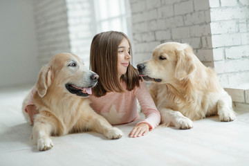 Child with a dog. A girl with labradors at home.