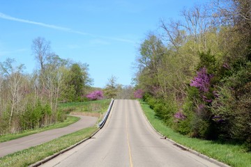 A long empty road in the countryside on a sunny day.