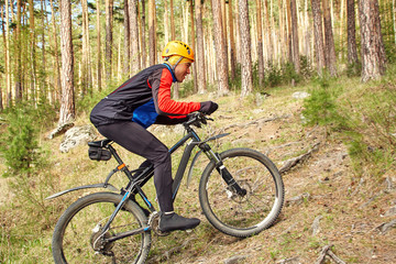 Fototapeta premium cyclist riding a mountain bike along forest road
