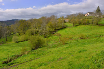 Fototapeta na wymiar paysage vallonné à Fraissinet-de-Lozère (48220), département de la Lozère en région Occitanie, France