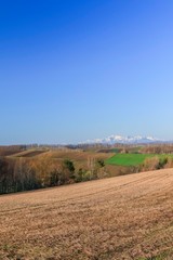 Fototapeta premium 北海道大地と荒野と丘