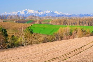 北海道大地と荒野と丘