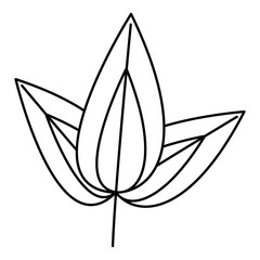 leaf foliage natural botanical