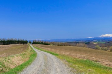 青空と草原と道  背景イメージ　北海道美瑛