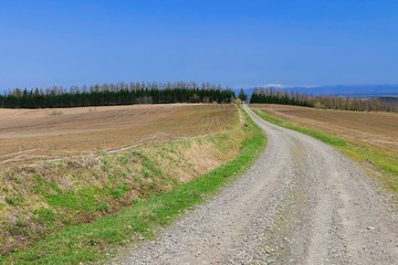 Fototapeta na wymiar 青空と草原と道 背景イメージ　北海道美瑛