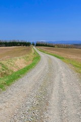 青空と草原と道  背景イメージ　北海道美瑛