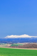 北海道美瑛　青空と草原と残雪