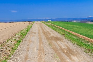 北海道美瑛　青空と草原と道