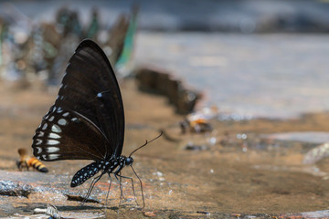 Lalu the grand canyon of Thailand. Lalu is a natural attraction in Sa Kaeo province ,Thailand.