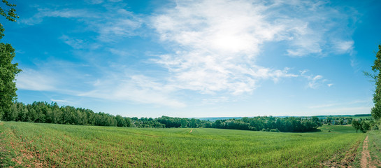 Panorama of summer green field. European rural view. Beautiful landscape of wheat field and green grass with stunning blue sky and cumulus clouds in the background.