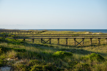 Fototapeta premium To the beach