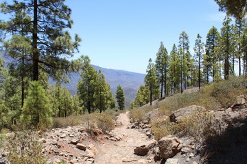 landscape in the mountains