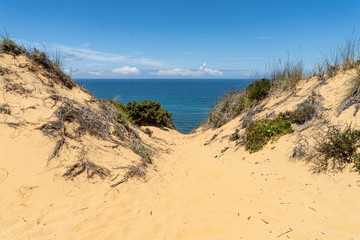 Sanddüne in Portugal