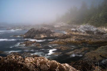 Fog envelops the rugged Wild Pacific Rim Trail, Ucluelet, on the Ucluelet Peninsula on the west coast of Vancouver Island in British Columbia, Canada, nobody in the image