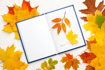 Notebook with clean sheets on the background of bright autumn leaves