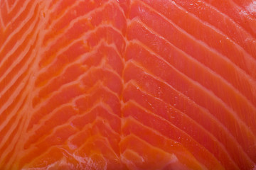 fresh salmon slice background