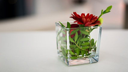 Glasflower