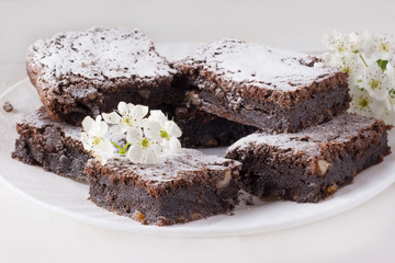 Delicious chocolate cake on a white plate decorated with a flower. Homemade baking. Traditional American Pie. Pecan Pie. Copy space