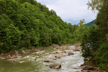 Mountain river flowing through green forest, beautiful landscape of river and wood, wonderful scenery exiting place for visiting, briliant picture of nature, windy and cloudy weather.