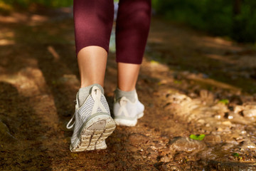 Image of woman's legs going on ground in field or forest, woman walking along dusty road in maroon leggins and gray sneakers, female spending time with friends or going for sport in open air.