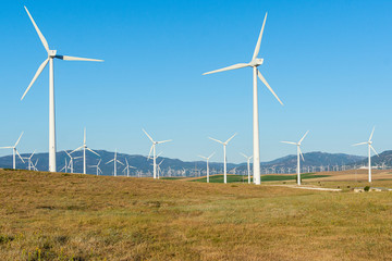 Wind turbines in the field to obtain wind energy. Renewable energy. Cadiz, Spain.