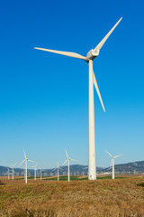 Wind turbine in the field to obtain wind energy. Renewable energy. Cadiz, Spain.