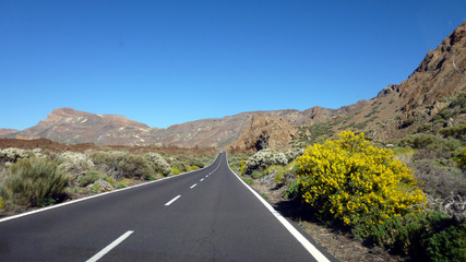 Road to Teide. Tenerife, Canary Islands.