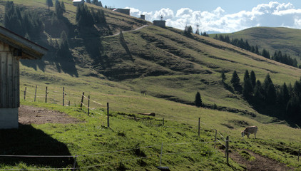 Alp Palfries, the largest Summer meadow in East Switzerland