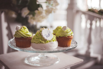 Elegant wedding still life. Festive sweet treats for guests, cupcakes and desserts