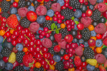 various berries background