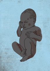 brown baby lying on isolated blue background