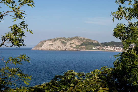 Tree framed view of the little orme from the great orme, Llandudno, Wales