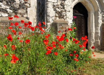 Fototapeta na wymiar Red Poppies around an English village church doorway